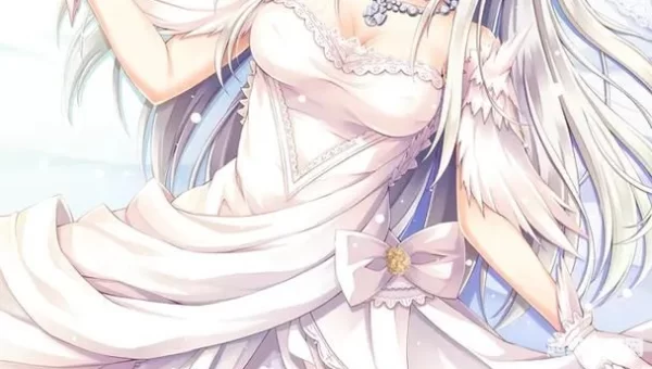 次元光辉