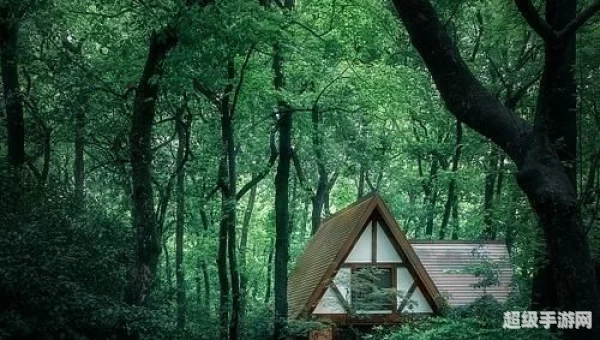 林中小屋下载