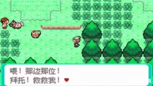 口袋领域